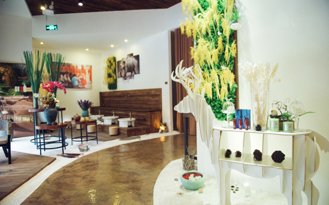 THAINS SPA