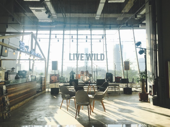 LIVE WILD