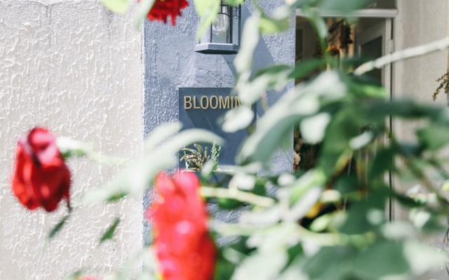 The Blooming