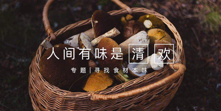 人间有味是清欢