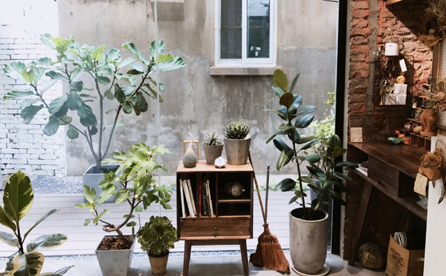Botanical Silver