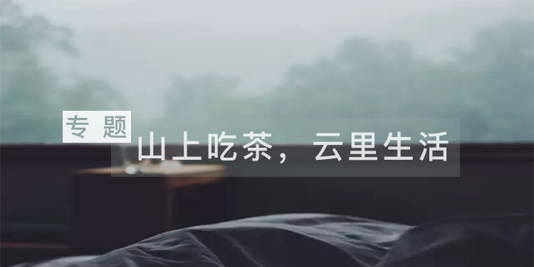山上吃茶,云里生活