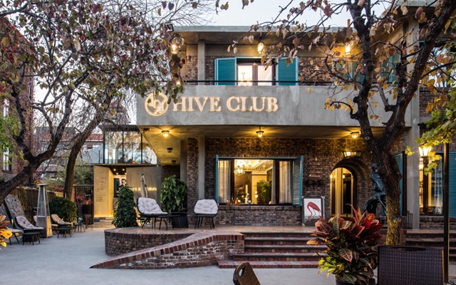 hive 104 club