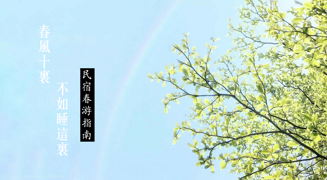民宿| 春风十里,不如睡这里